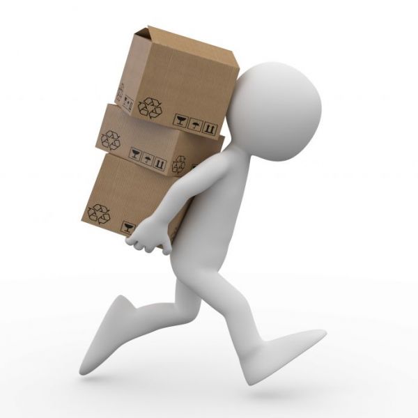 Silicon Connection Urgent Delivery
